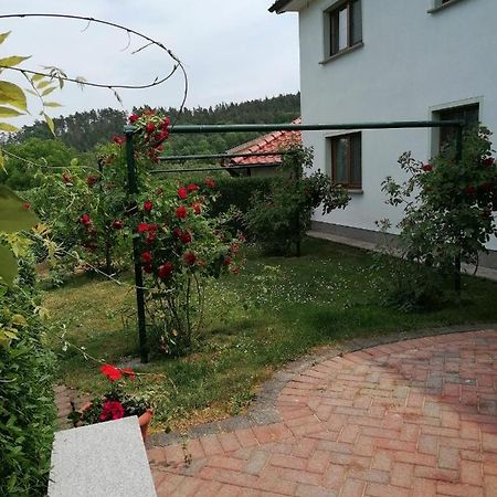 Ferienhaus Putzke Stadtilm المظهر الخارجي الصورة